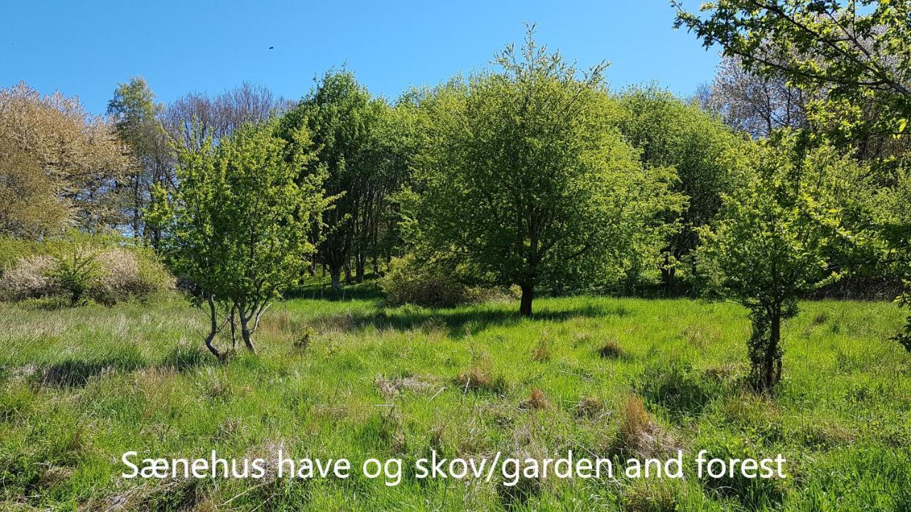 Saenehus Husmandssted Villa Allinge-Sandvig ภายนอก รูปภาพ